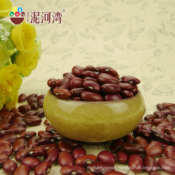 Dark Red Kidney Bean British type Shanxi Variety / DRKB / RDKB